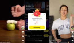 风景哥爆料视频完整版,全景呈现事件背后真相