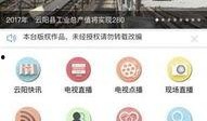 云阳新闻爆料电话号码,揭秘市民爆料背后的故事
