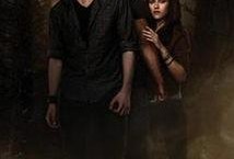 暮光之城2在线观看免费