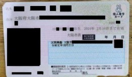 番号在线观看网站,带你领略影视世界的无限魅力