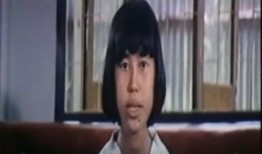 电影婉丽在线观看,穿越时空的美丽邂逅