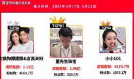 揭阳网红爆料视频大全集,揭秘城市生活百态