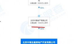 中海爆料最新消息视频,揭秘视频背后的惊人真相