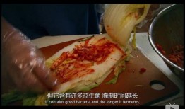 酸菜饱饱爆料原视频,原视频背后的故事与真相