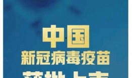 爆料视频小故事简短版,爆料小故事背后的惊人真相