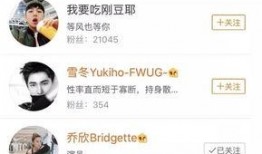 娱乐圈都有什么爆料的小说,揭秘幕后真相与惊天秘密