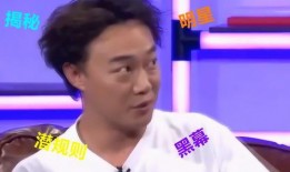 娱乐爆料综艺有哪些类型,揭秘热门娱乐爆料综艺的多样类型