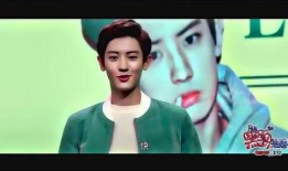 娱乐圈都有什么爆料的小说,揭秘幕后真相与惊天秘密