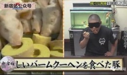 胖哥爆料娱乐区是真的吗,揭秘娱乐圈真实内幕？