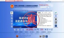 福建新闻热点爆料网站,揭秘最新爆料，聚焦社会动态