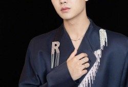 央视爆料任嘉伦视频回放,任嘉伦视频回放背后的真相