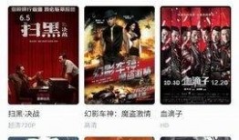 大智爆料娱乐视频完整版,揭秘娱乐圈幕后真相，完整版内容大揭秘