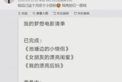 导演亲自爆料视频播放网站,视频播放网站背后的秘密大公开