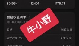 火爆视频爆料者是谁啊怎么赚钱,揭秘其神秘身份与盈利之道