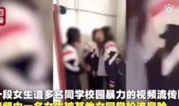 哈尔滨爆料女孩事件视频,真相与争议交织的校园风波
